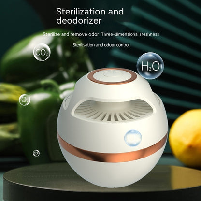 Small Refrigerator Deodorizer