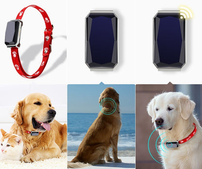 Beidou GPS Pet Collar