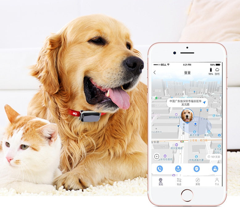 Beidou GPS Pet Collar