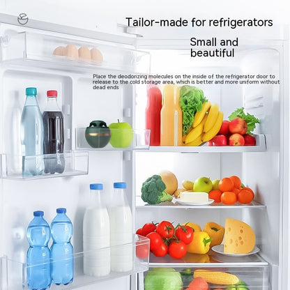 Small Refrigerator Deodorizer